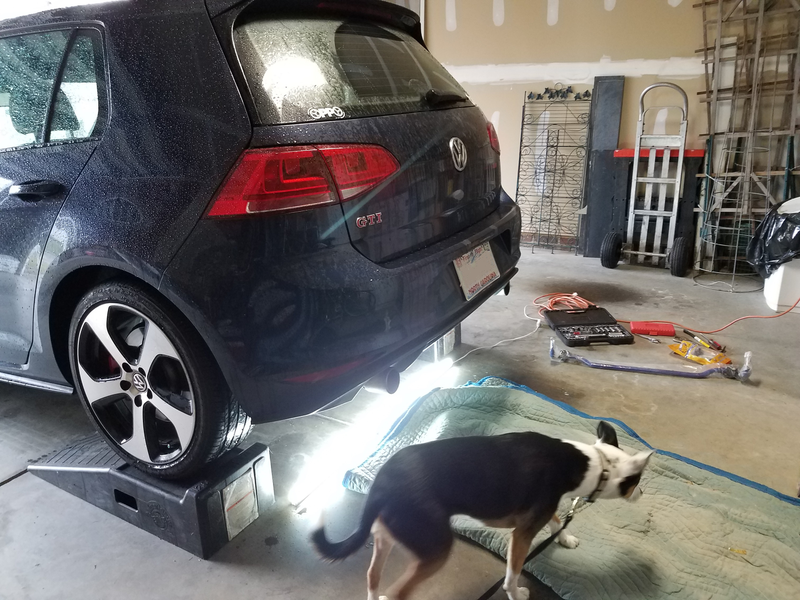 LED shoplight under the car, FTW. Canine supervision, also FTW.